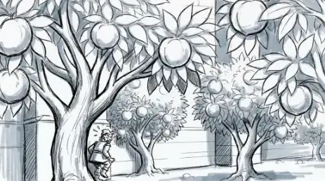 Peter Pilfer creeping through the orchard